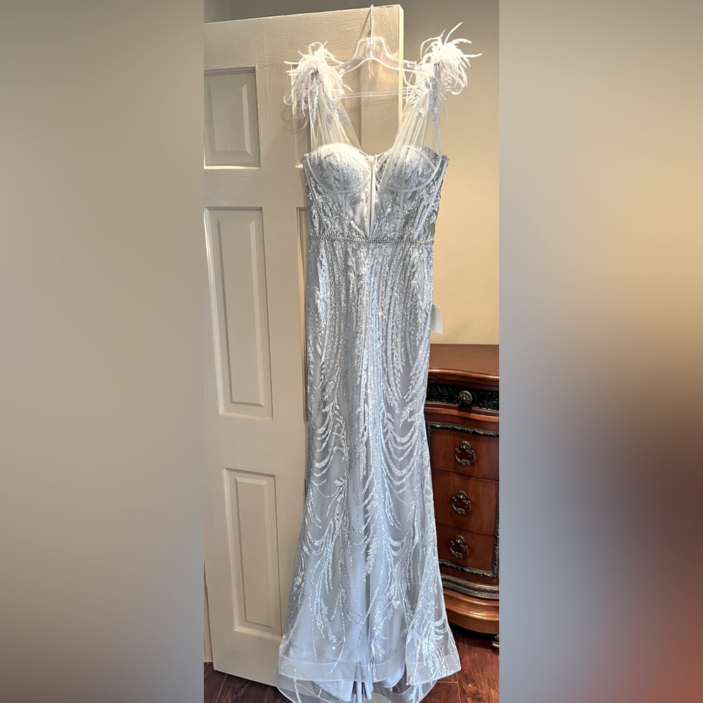 Evening gown, prom dress